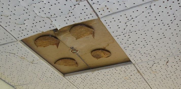 Asbestos Ceiling Tile & Glue Pod